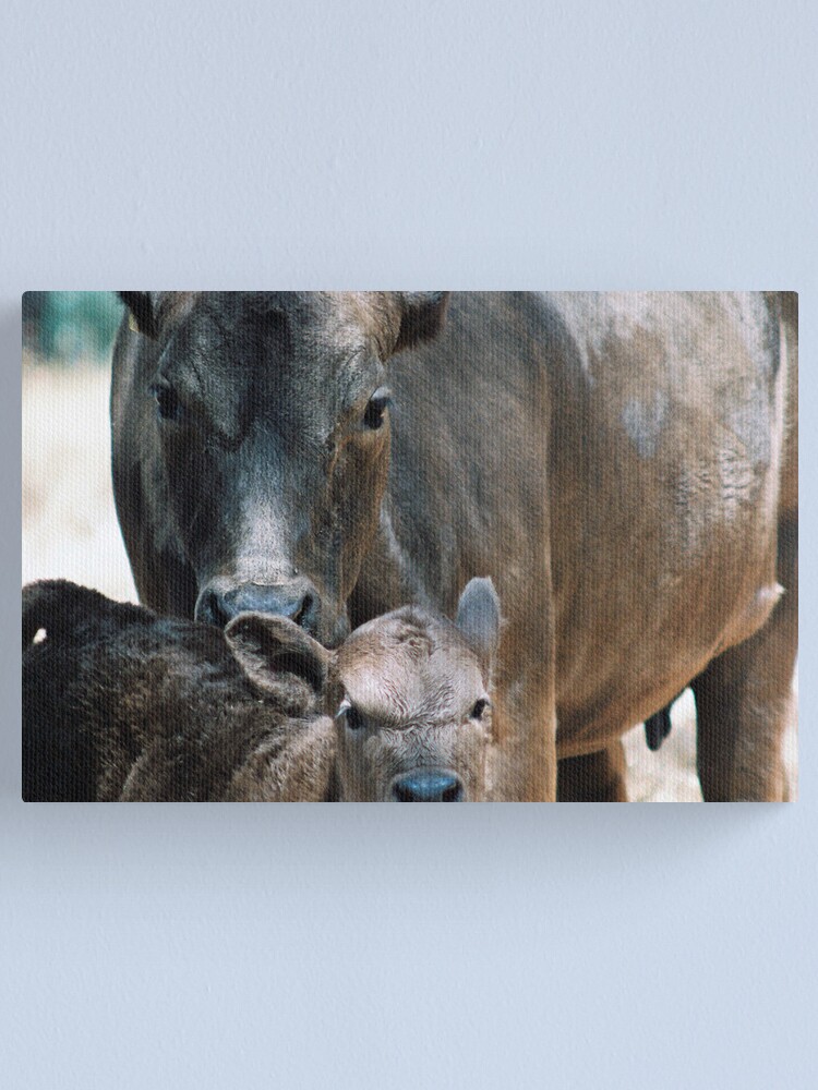 Alternate view of "Maternal" Canvas Print