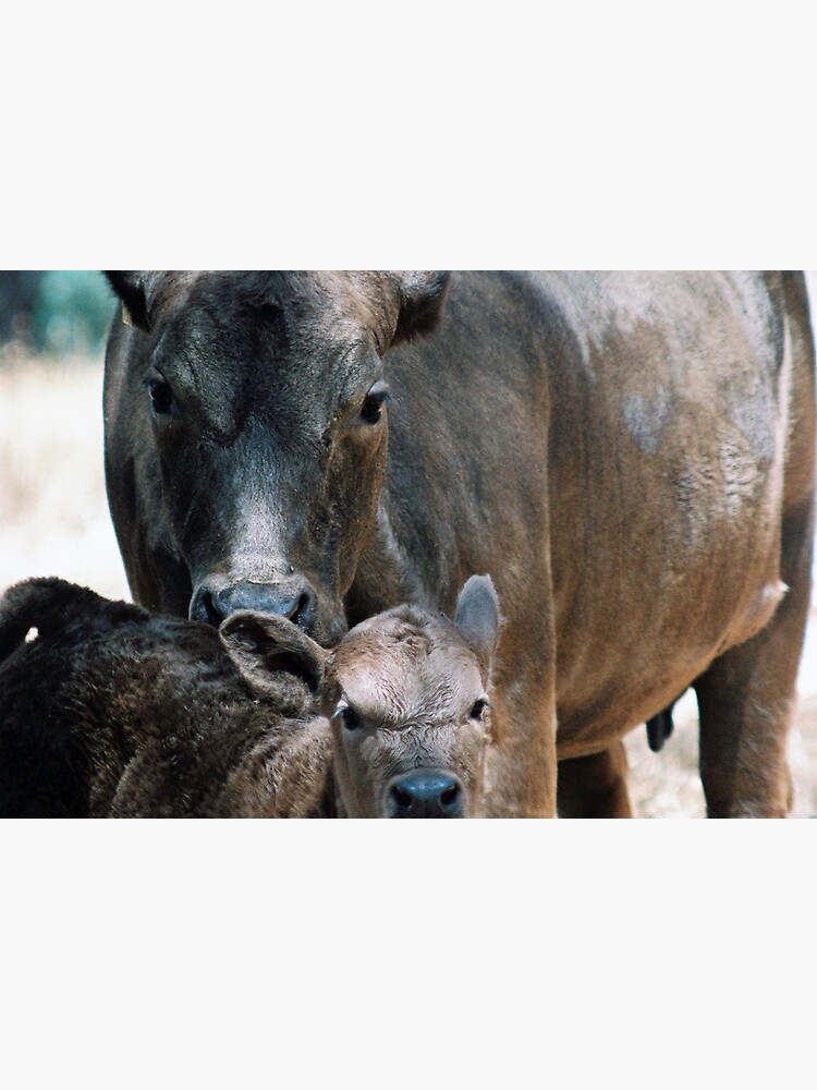 "Maternal" by michellelee