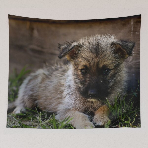 Item preview, Dog - street dog designed and sold by laura-S.