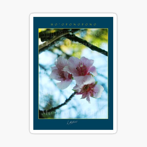 Aperçu de l'œuvre Fleurs - Ho'oponopono créée et vendue par McAllister.