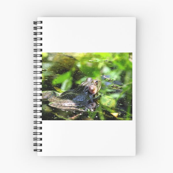 Item preview, Columbus, OH: American Leopard Frog 1 designed and sold by ACImaging.