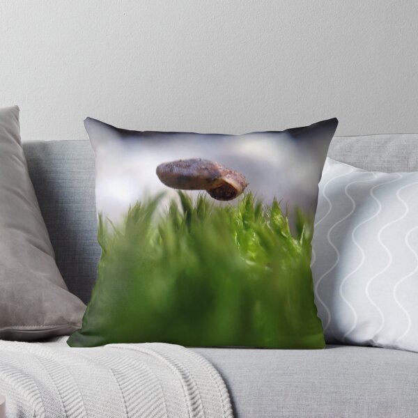 Item preview, Hovering Shell designed and sold by Bobajay.
