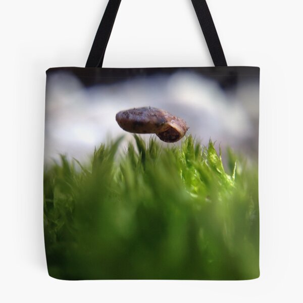 Item preview, Hovering Shell designed and sold by Bobajay.