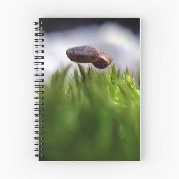 Item preview, Hovering Shell designed and sold by Bobajay.