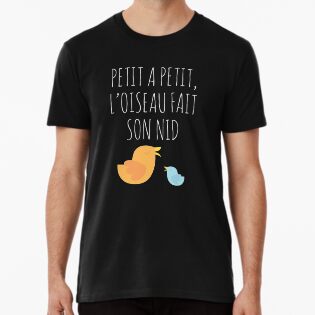 French Saying Petit A Petit Loiseau Fait Son Nid Quote By