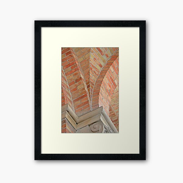 vaulting Framed Art Print