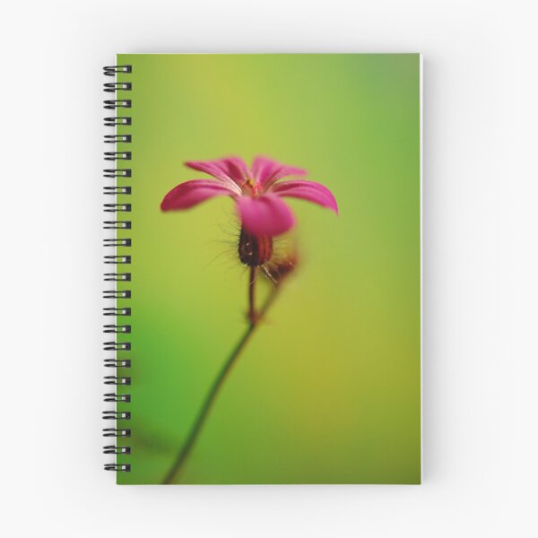 Item preview, Geranium robertianum designed and sold by duncandragon.