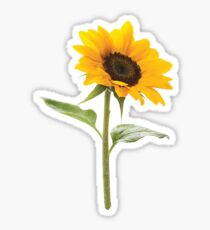 Pegatina Girasol
