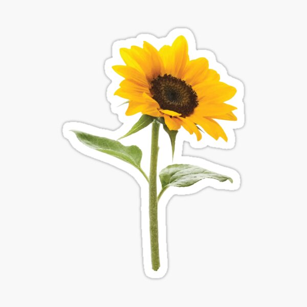 Item preview, Sunflower designed and sold by ericbracewell.