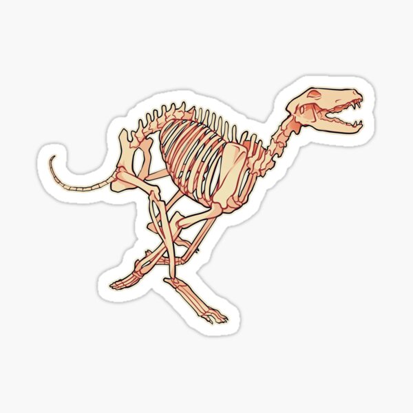 Halloween Skeleton Dog Sticker for Sale by ElysianCreation