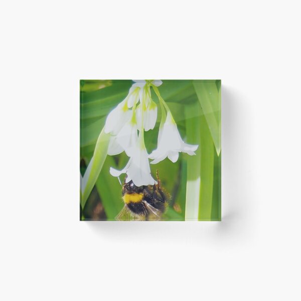 Item preview, Spring is here........Lyme Dorset UK designed and sold by lynn carter.