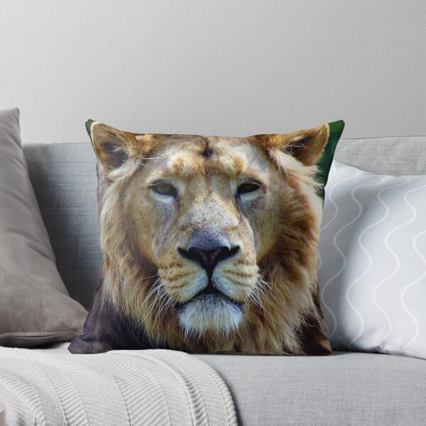 Item preview, Asiatic Lion Panthera Leo Persica Big Cat Male designed and sold by AndyEvansPhotos.