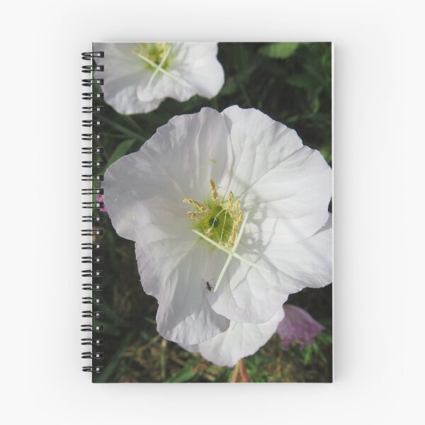 Artikelvorschau, Blume X entworfen und verkauft von Aleesha Haigwood.