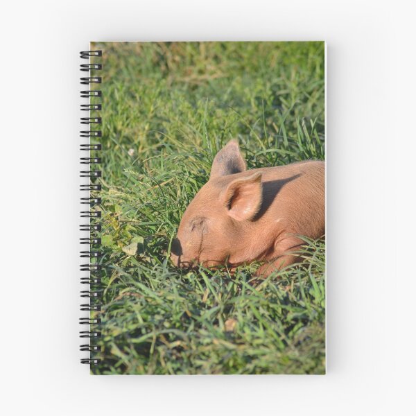 Item preview, Napping Piglet on Grass designed and sold by Aleesha Haigwood.