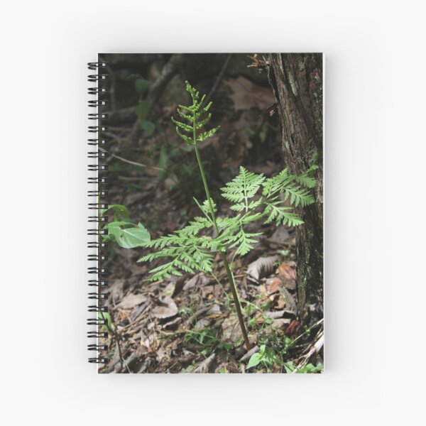 Wild Ozark Rattlesnake Fern Spiral Notebook