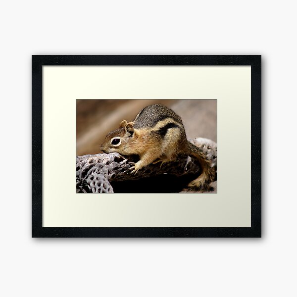 Hold On Framed Art Print