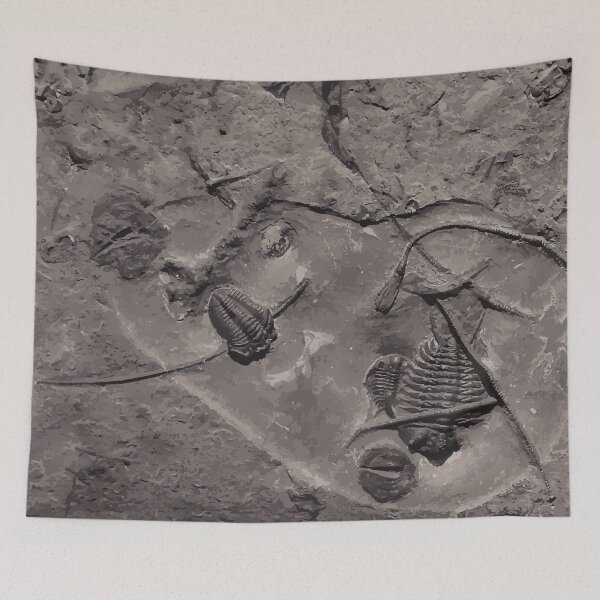 Item preview, Arthropoda and Echinodermata Soup designed and sold by Adrianna Allen.