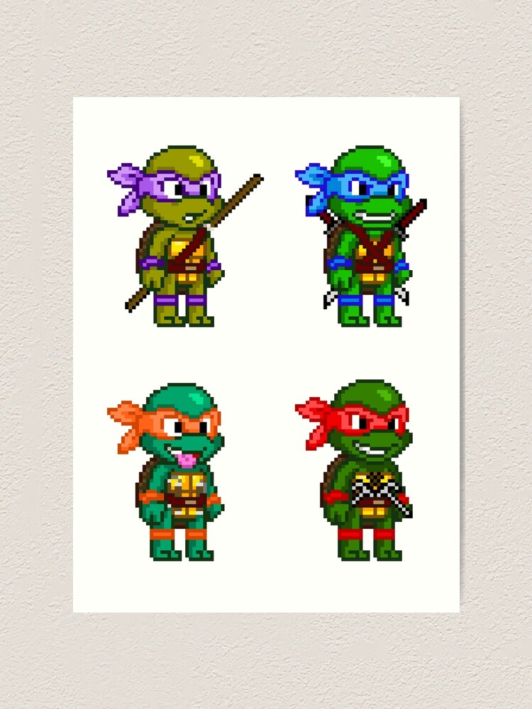 ninja turtle blocks
