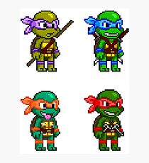 Teenage Mutant Ninja Turtles Pixels Photographic Print