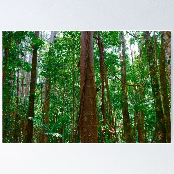 Item preview, Central Station, Fraser Island designed and sold by Bec Rose.