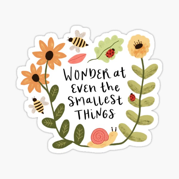 Wonder at the Small Things Sticker