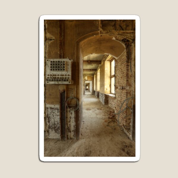Chateau du Cygne Magnet
