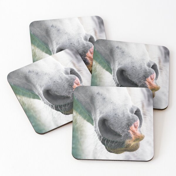 Item preview, A white horse is most easily lost in a snowstorm designed and sold by FOLK ART FUSION by heidiannemorris.