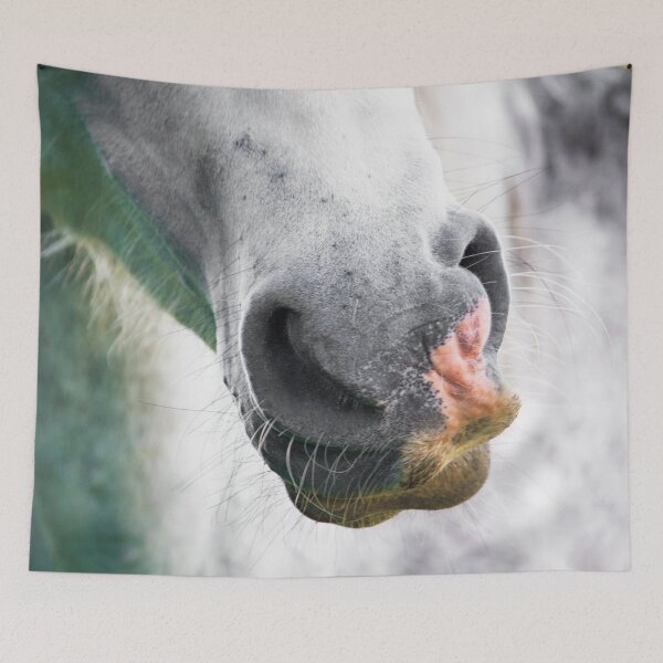 Item preview, A white horse is most easily lost in a snowstorm designed and sold by FOLK ART FUSION.