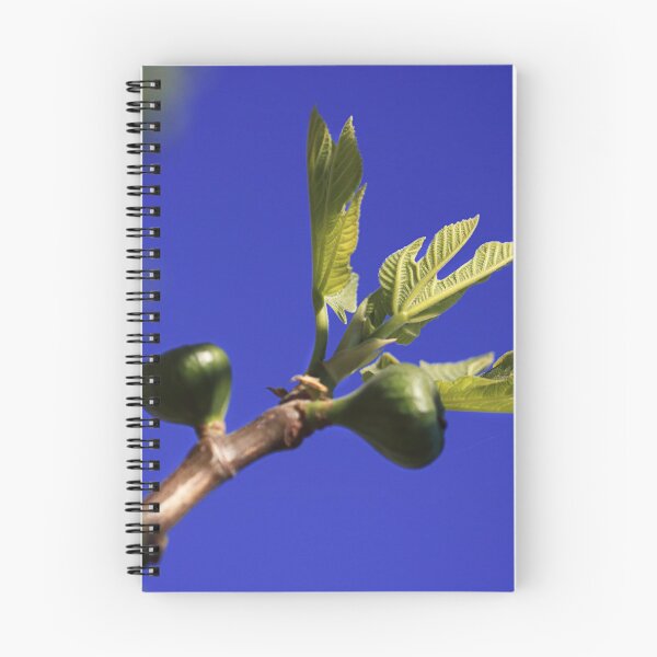 Item preview, Reaching out. designed and sold by Paul Pasco.