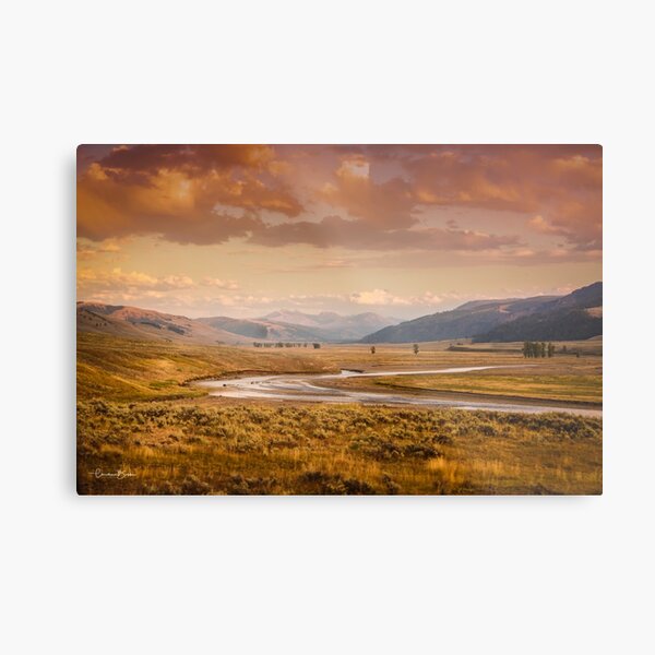 Fall Lamar Valley - Yellowstone National Park Metal Print