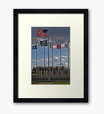 Veterans' Day 2010 Framed Print