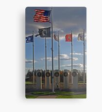 Veterans' Day 2010 Metal Print