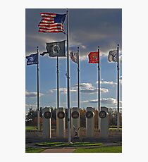 Veterans' Day 2010 Photographic Print