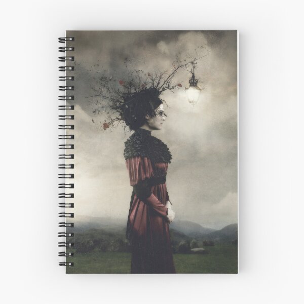 Item preview, The Seventh Story designed and sold by RM Magick.