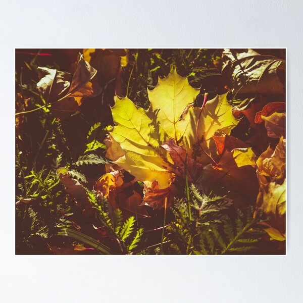 Fall Poster