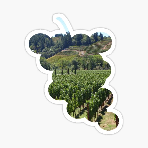 Artikel-Vorschau von Weinberg im Napa Valley, designt und verkauft von Arizonagirl.