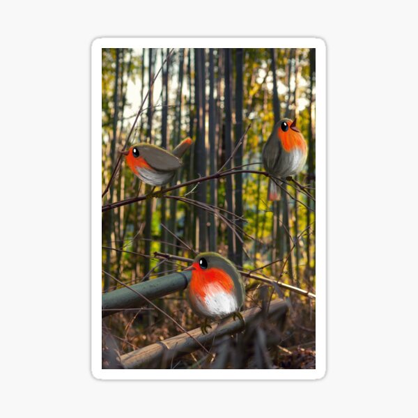 Robin Sticker