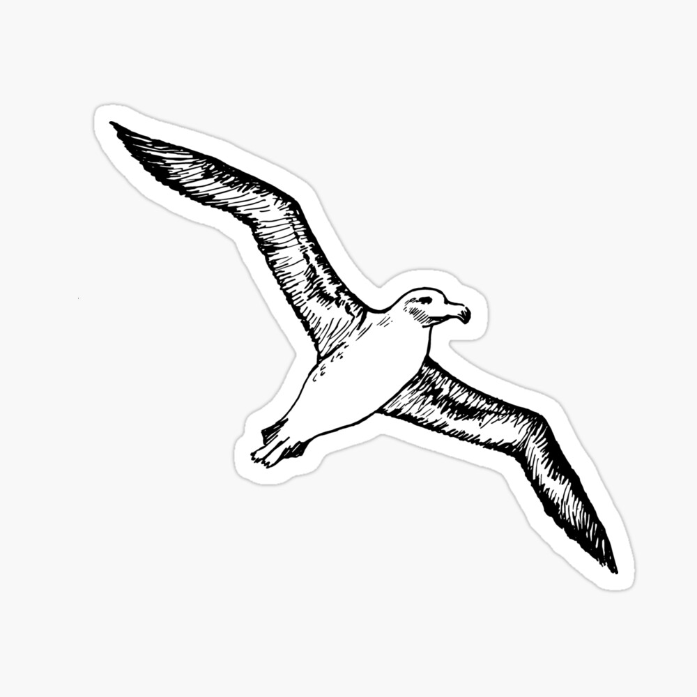 Albatross Tattoo | Compass Tattoo