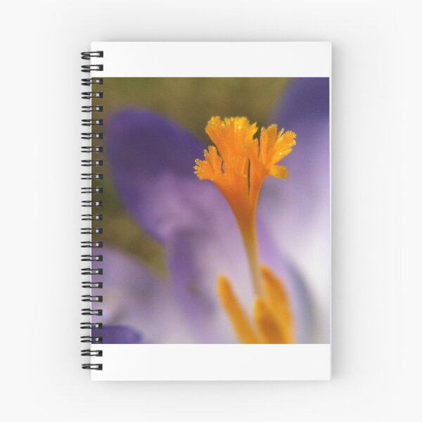 Item preview, Orange & Purple designed and sold by Bobajay.