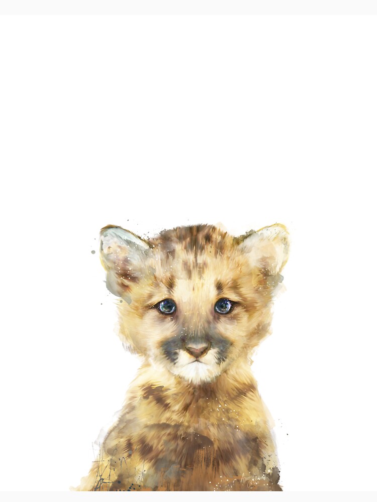 Little Mountain Lion by AmyHamilton