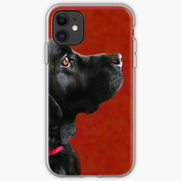 Cooper iPhone Soft Case