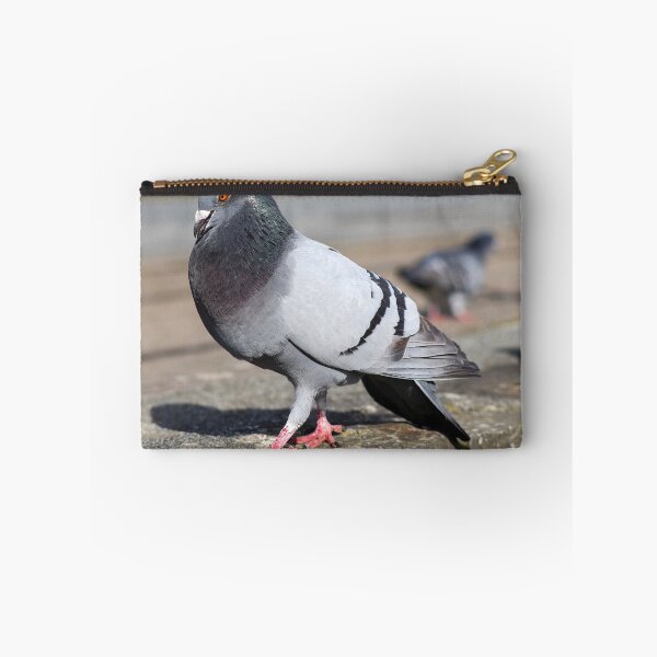 Item preview, Strutting his stuff designed and sold by GreyFeatherPhot.