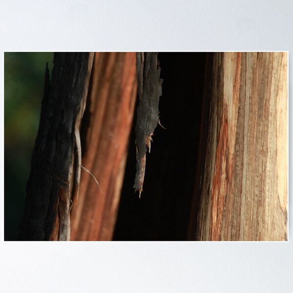 Item preview, After the Fire designed and sold by Melanie Conroy.