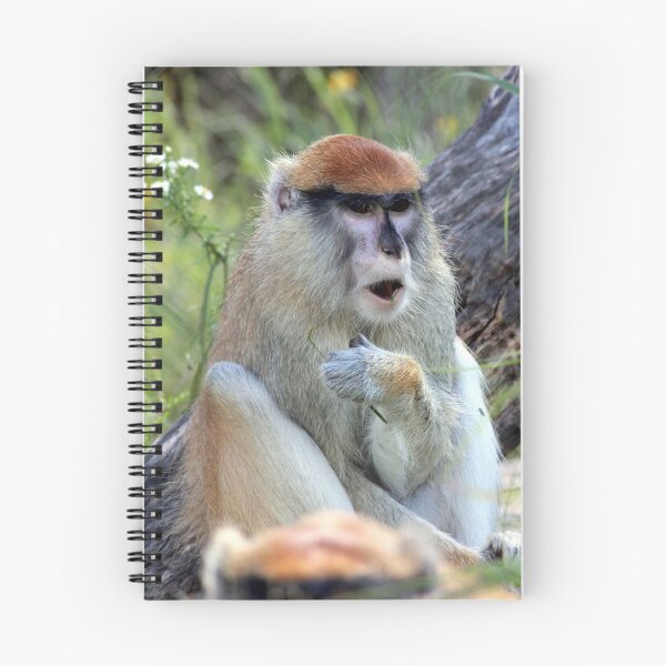 Item preview, Surprised Patas Monkey designed and sold by Frank Orzechowicz.
