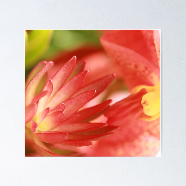 Item preview, reach out designed and sold by JulesVandermaat.