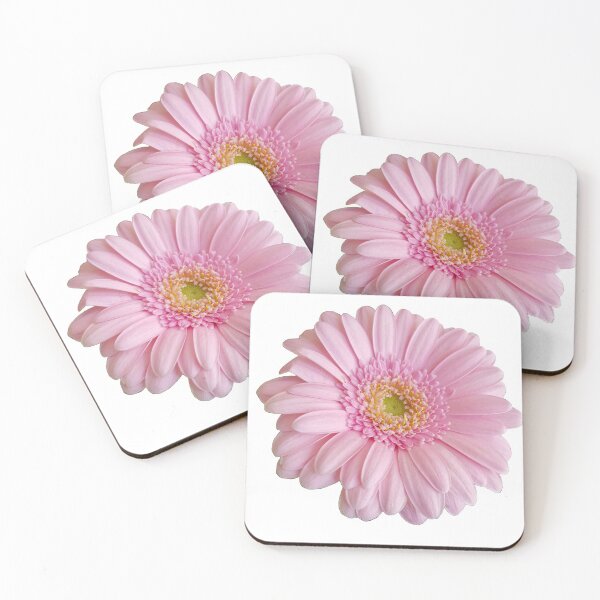 Item preview, Pink Gerbera on a transparent background designed and sold by ellenhenry.