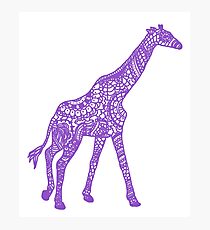 Printed Giraffe - Purple Photographic Print