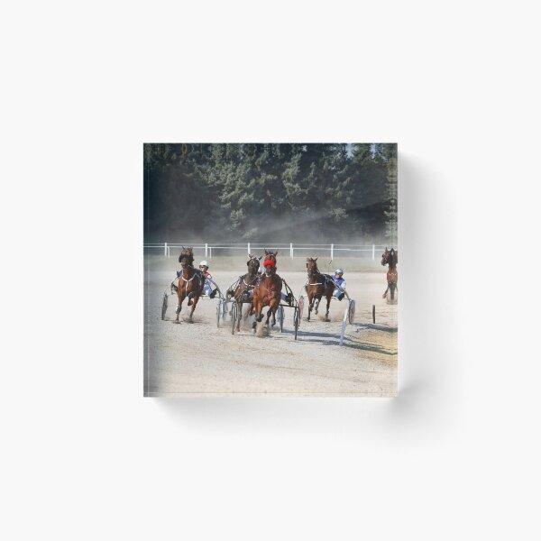 Item preview, Horses trotter breed in harness racing at hippodrome designed and sold by goceris.