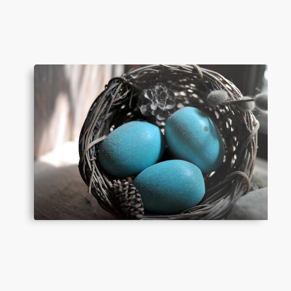 Dusty Nest Metal Print