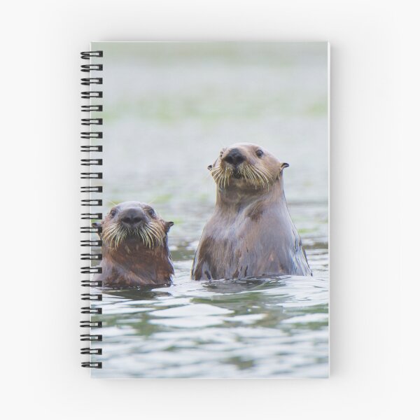Item preview, Sea Otters in the Elkhorn Slough designed and sold by Bruce Alexander.